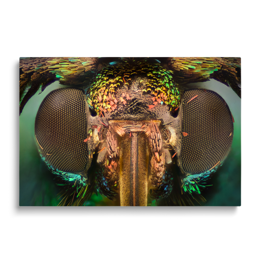 THE FLY 2