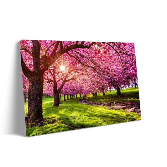 SPRING