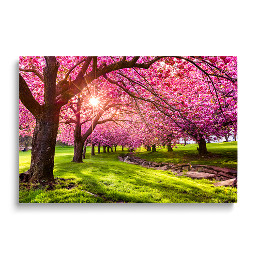 SPRING