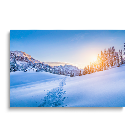 WINTER WONDERLAND
